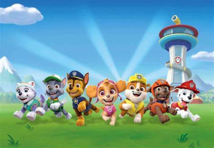 The Fascinating World of Sky Paw Patrol: An In-Depth Exploration
